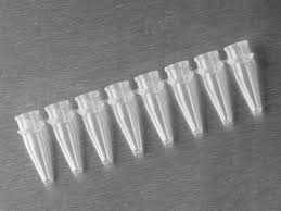 Axygen PCR 1 x 12 Strip Flat Caps, Fit 0.2mL PCR Tube Strips, Clear, Nonsterile