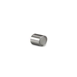 HPLC Guard Cartridge Symmetry C18 100Å 5 µm 7.8 mm X 10 mm