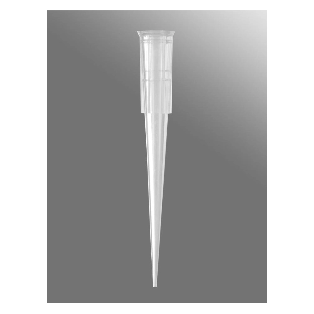 Axygen 200µL Maxymum Recovery Universal Fit Pipet Tip, Bevelled, Clear, Non-Sterile, Rack Pack