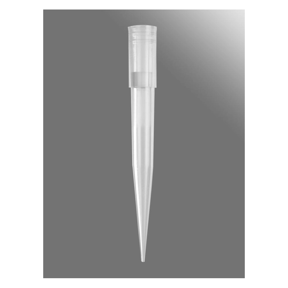 Axygen 1000µL Universal Fit Filter Tips, Clear, Bulk Pack, 1000 Tips/Pack, 5packs/Case.