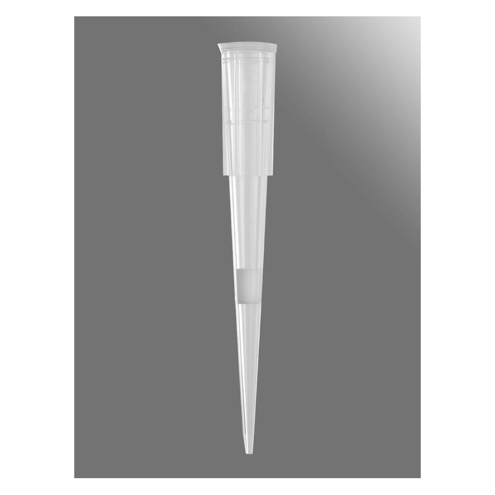 Axygen 20µL Universal Fit Filter Tips, Clear, Bulk Pack, 1000 Tips/Pack, 10 Packs/Case.