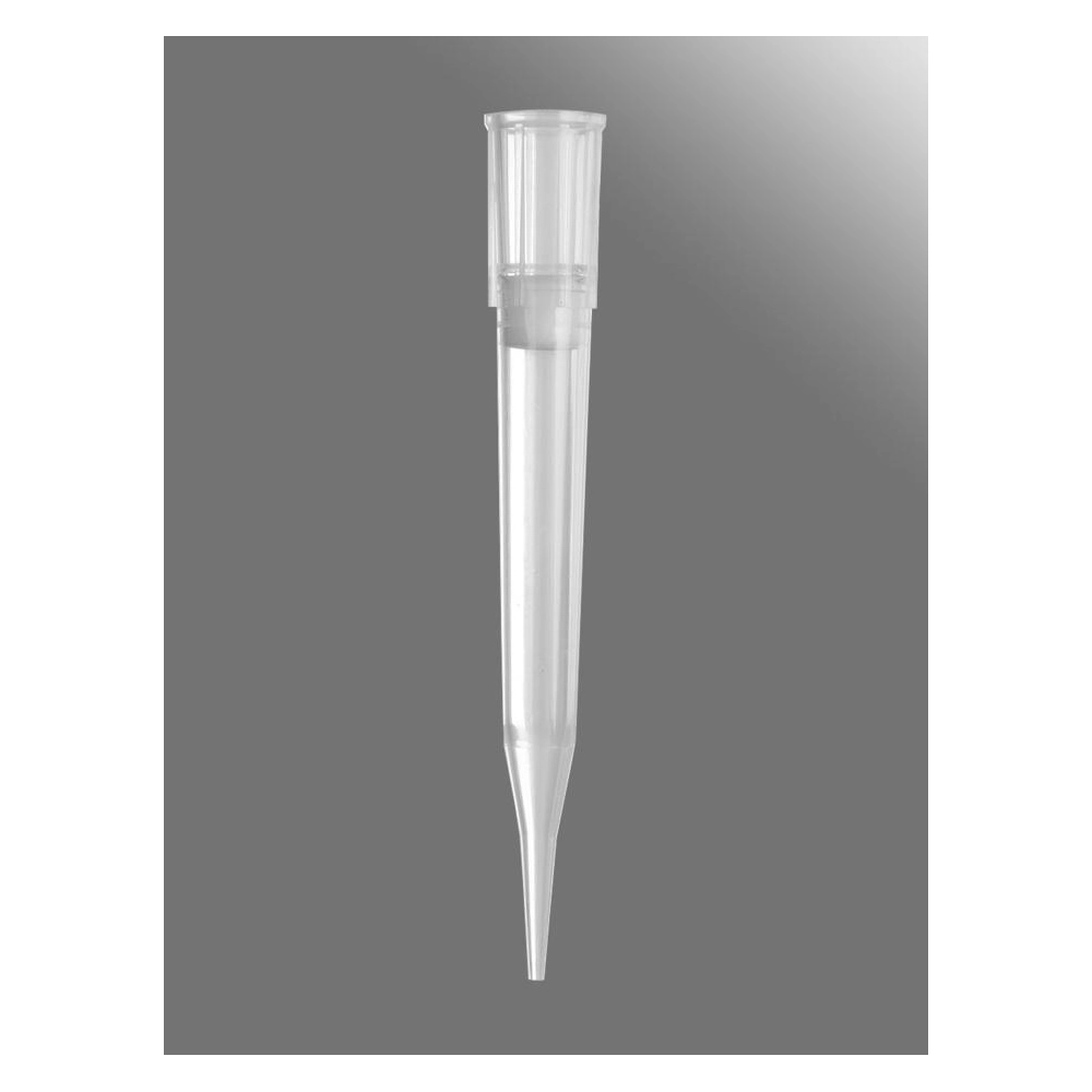 Axygen 300µL Maxymum Recovery Universal Fit Filter Tips, Clear, Sterile, Rack Packed