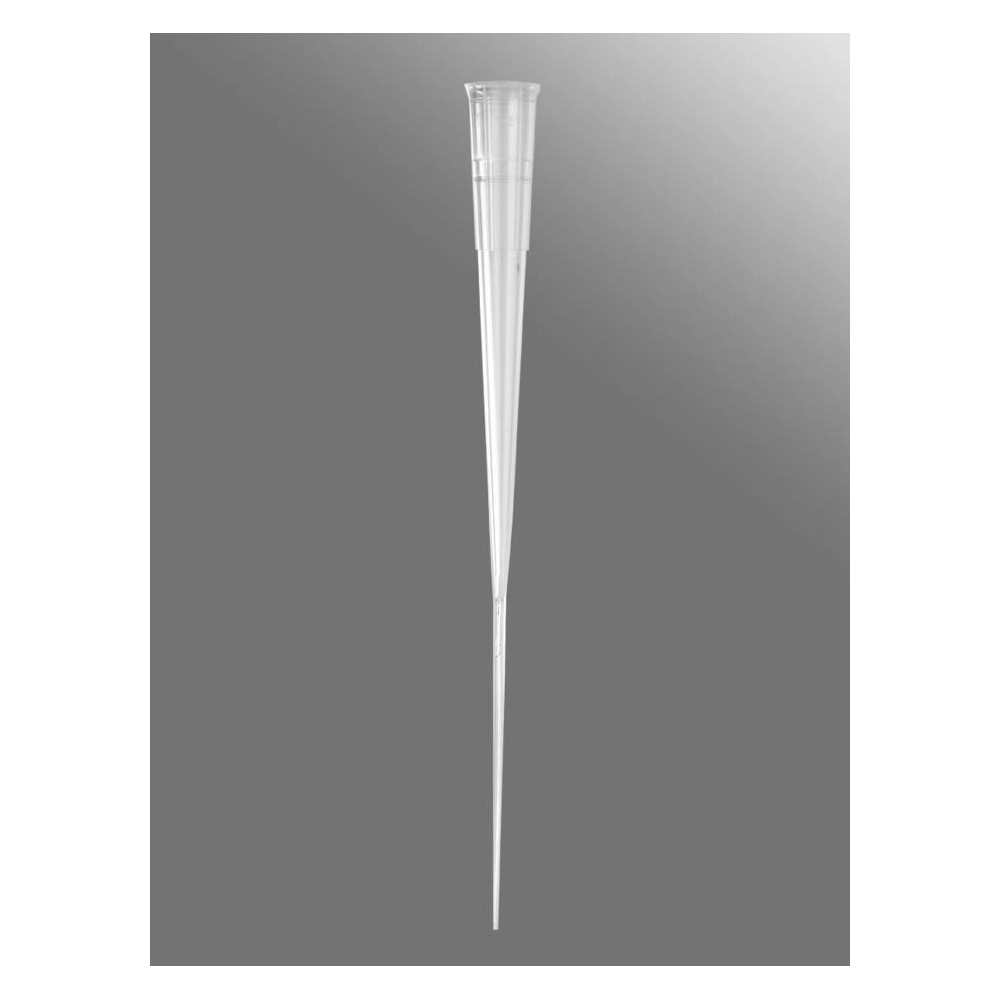 Axygen 200µL Gel Loading Pipet Tip, Round, Clear, Sterile, Rack Pack, 200 Tips/Rack, 2 Racks/Case.