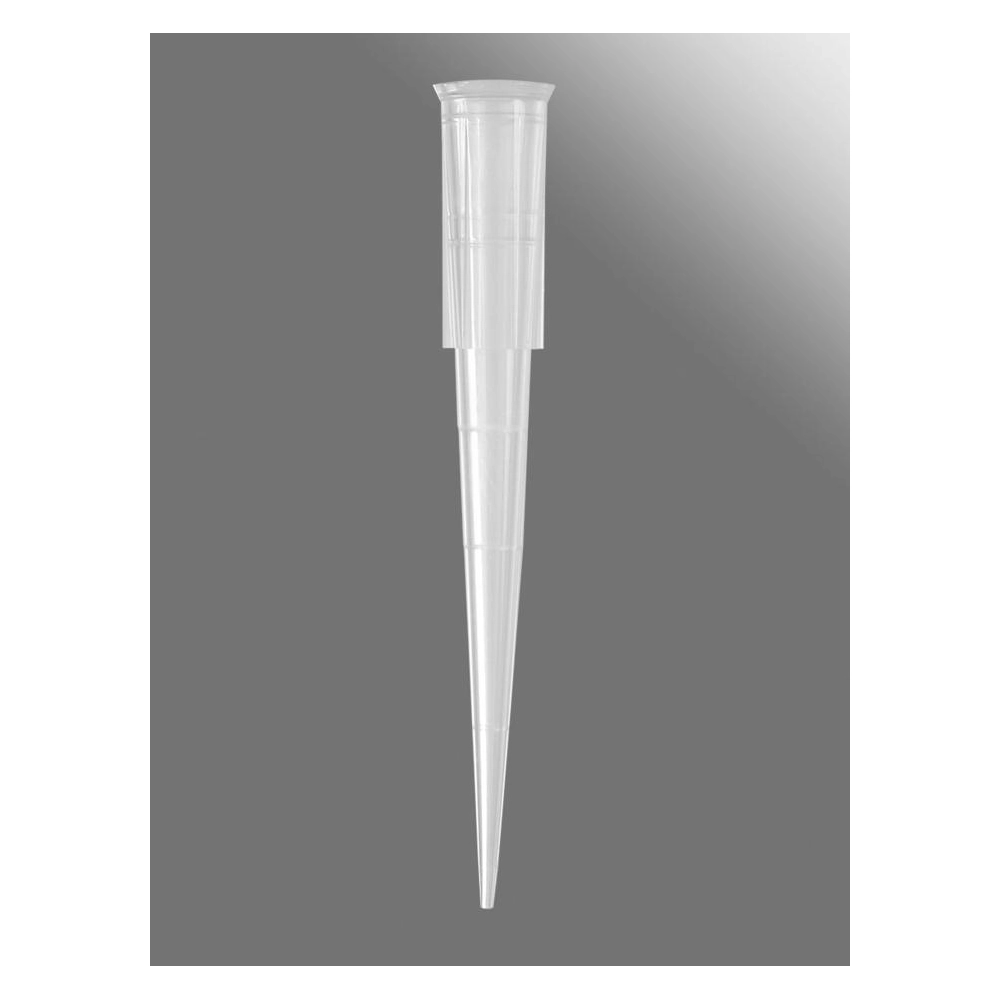 Axygen 200µL Maxymum Recovery Universal Fit Pipet Tips, Bevelled, Graduated, Clear, Bulk Pack