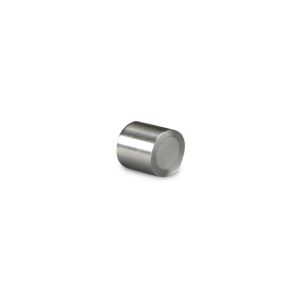 HPLC Guard Cartridge XSelect CSH Fluoro Phenyl 130Å 5 µm 10 mm X 10 mm
