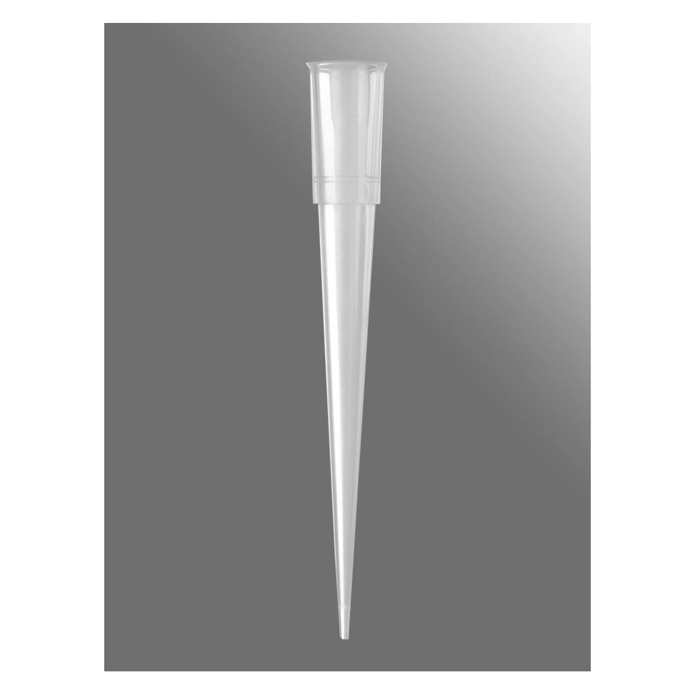 Axygen Automation Tips for RapidPlate and SciClone, 200L, Clear, Non-Filtered, Nonsterile