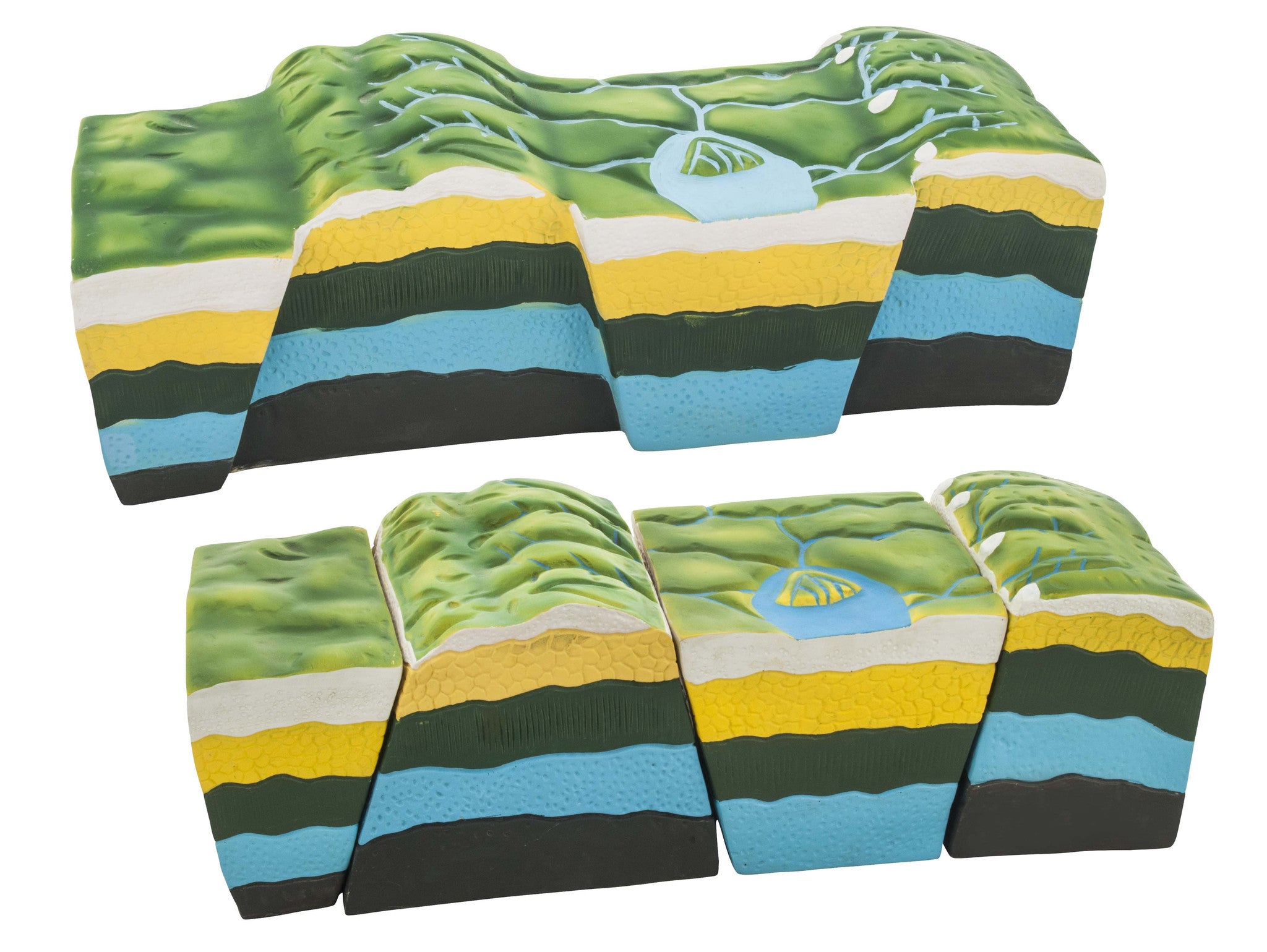 Fact & Fault Model - Geology Tectonics Study Model