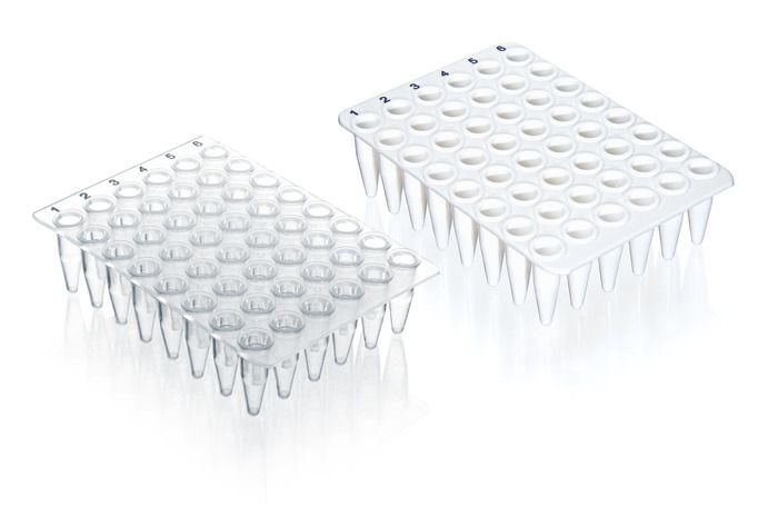 48 well qPCR plate, white no skirt, 20 plates
