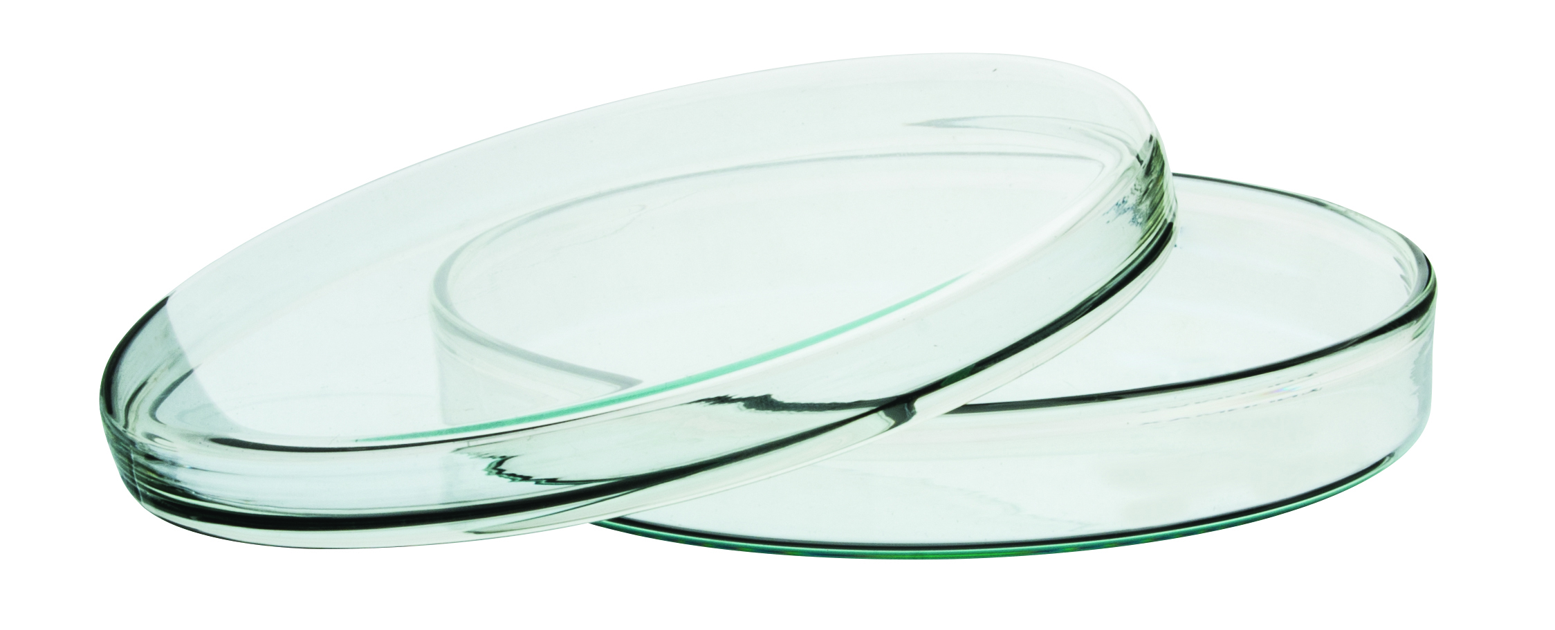 5.9" Petri Dish - Premium Borosilicate Glass - .75" Depth