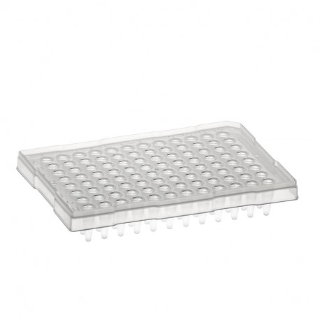 AMPLATE PCR PLATE,1mm Raised Rim, Pink