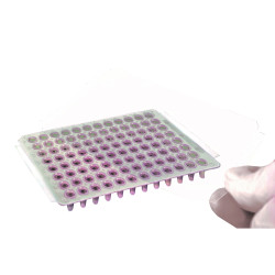 Transparent Sealing Film for real Time PCR