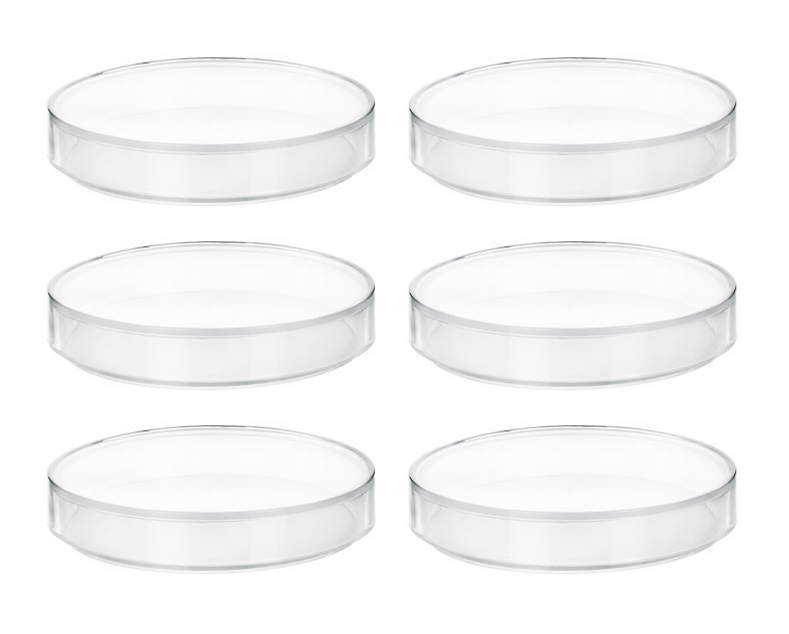 6PK Plastic Petri Dishes with Lids - 6" Diameter, 0.75" Depth - Molded in Polypropylene - Reusable - Translucent