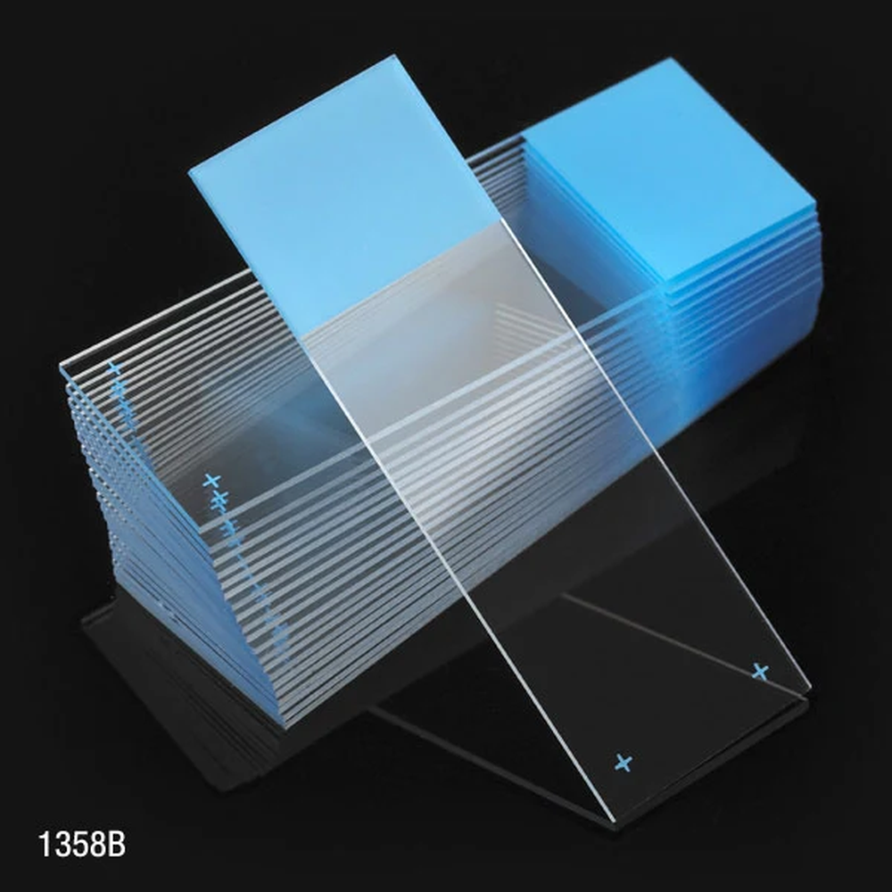Microscope Slides, Diamond White Glass, 25 x 75mm, Charged, 90 Ground Edges, Blue Frosted, 72/Box, 20 Boxes/Case (10 Gross)