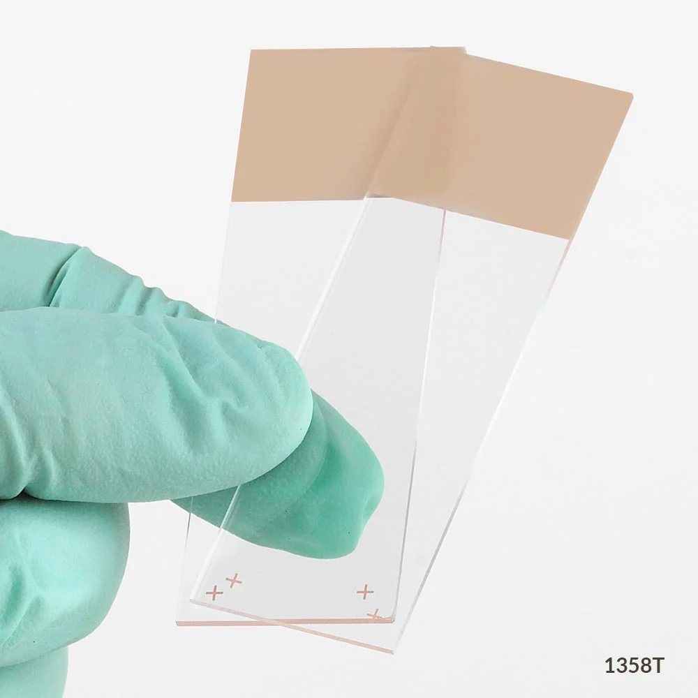 Microscope Slides, Diamond White Glass, 25 x 75mm, Charged, 90 Ground Edges, Tan Frosted, 72/Box