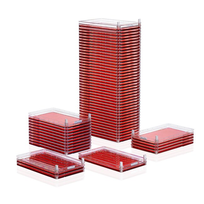 High Density Cell Factory 13