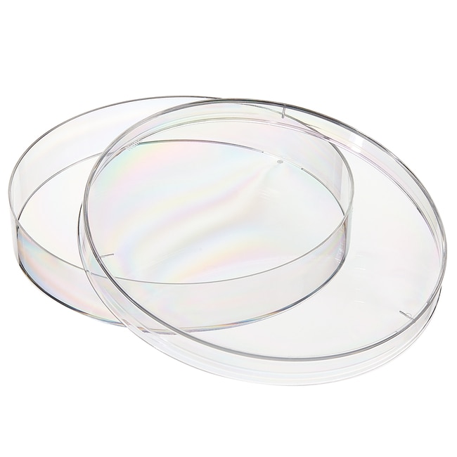 Petri Dish w/Lid Sterile PS 140 x 20 mm