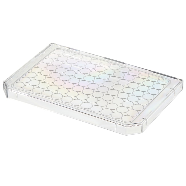 UpCell 96F Microwell Plate,1/8