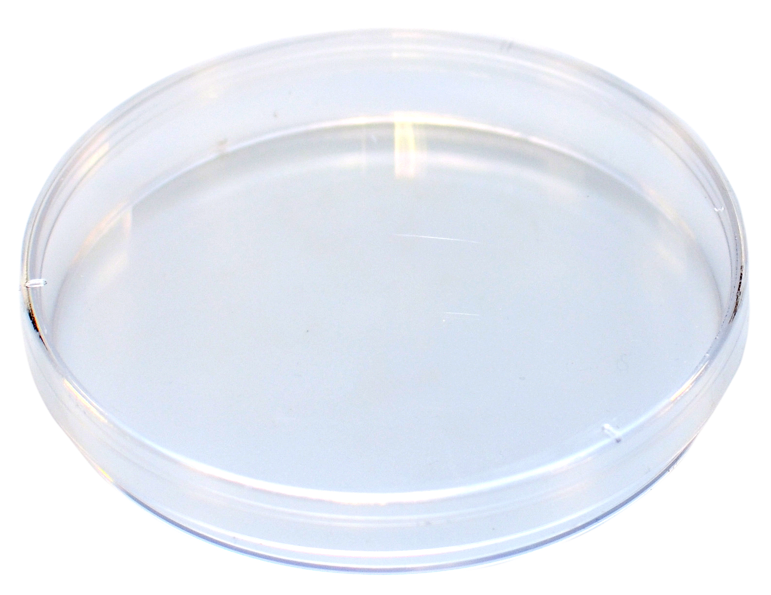 Mono Petri Dish, No Rim for Automation, 100 x 15