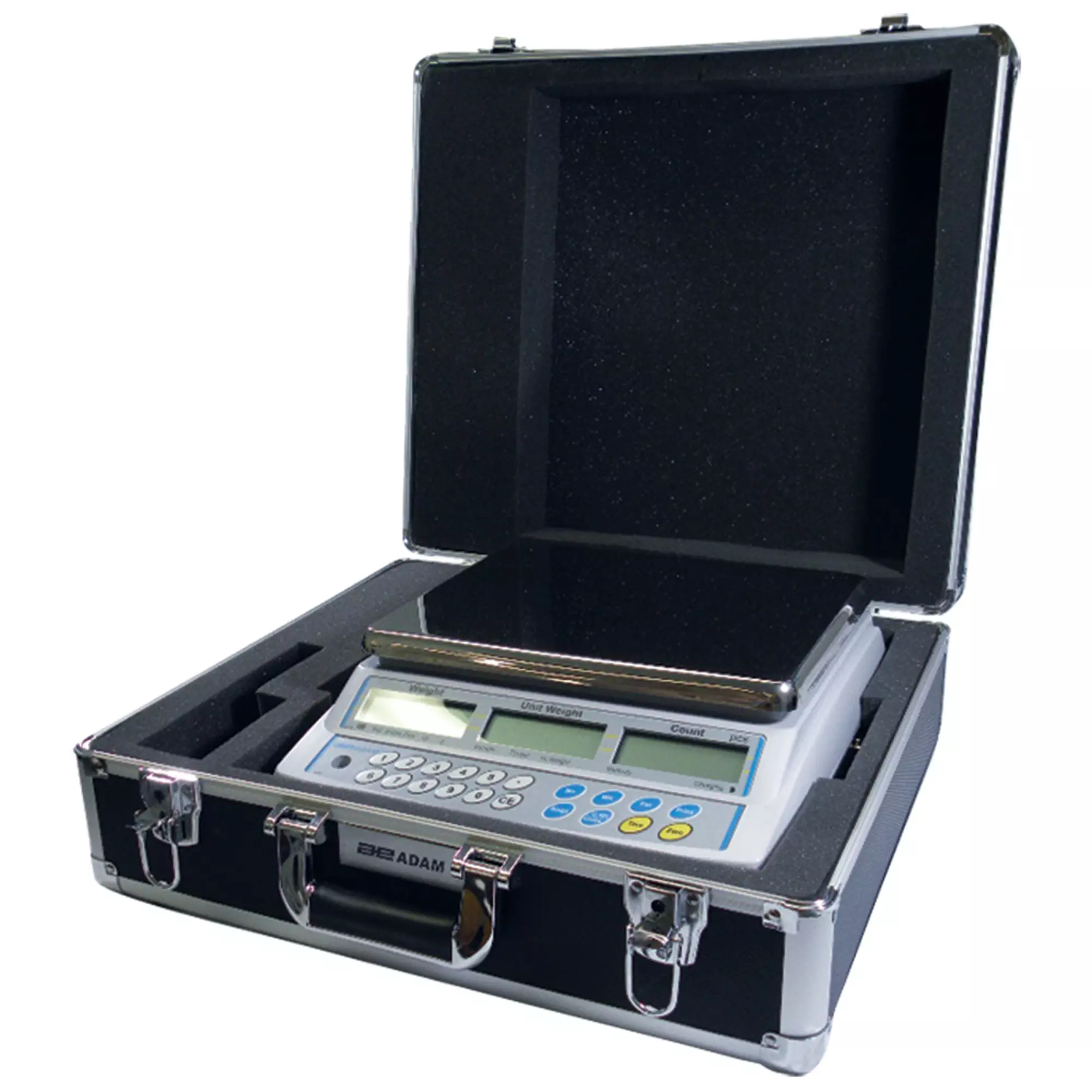 Hard carrying case with lock