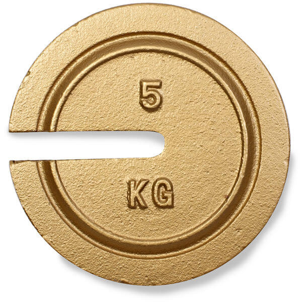 Weight, 5 kg, NIST F, Traceable Cert