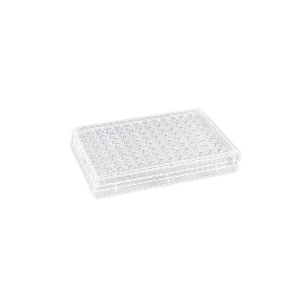Corning HTS Transwell-96 Permeable Support with 0.8µm Pore Polyester (PET) Membrane, Sterile, 4/Pack, 8/Case