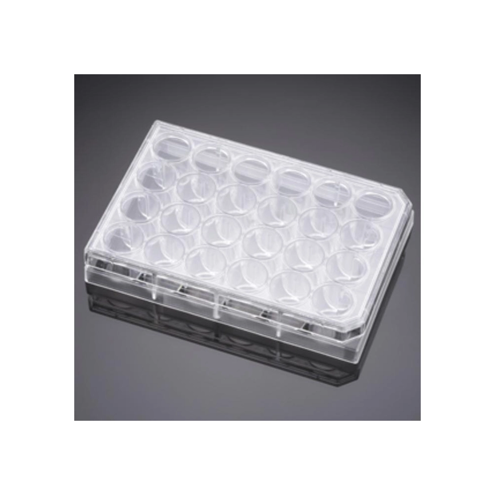Corning® Primaria 24 Well Flat Bottom Surface Modified Multiwell Cell Culture Plate, with Lid, Ind. Wrapped, S, 50/Cs