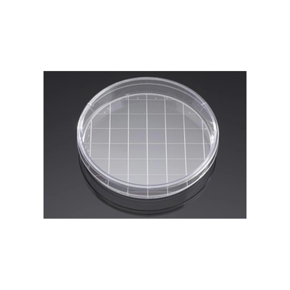 Corning BioCoat Poly-D-Lysine 150mm TC-Treated Gridded Culture Dishes, 5/Pack, 5/Case, Nonsterile