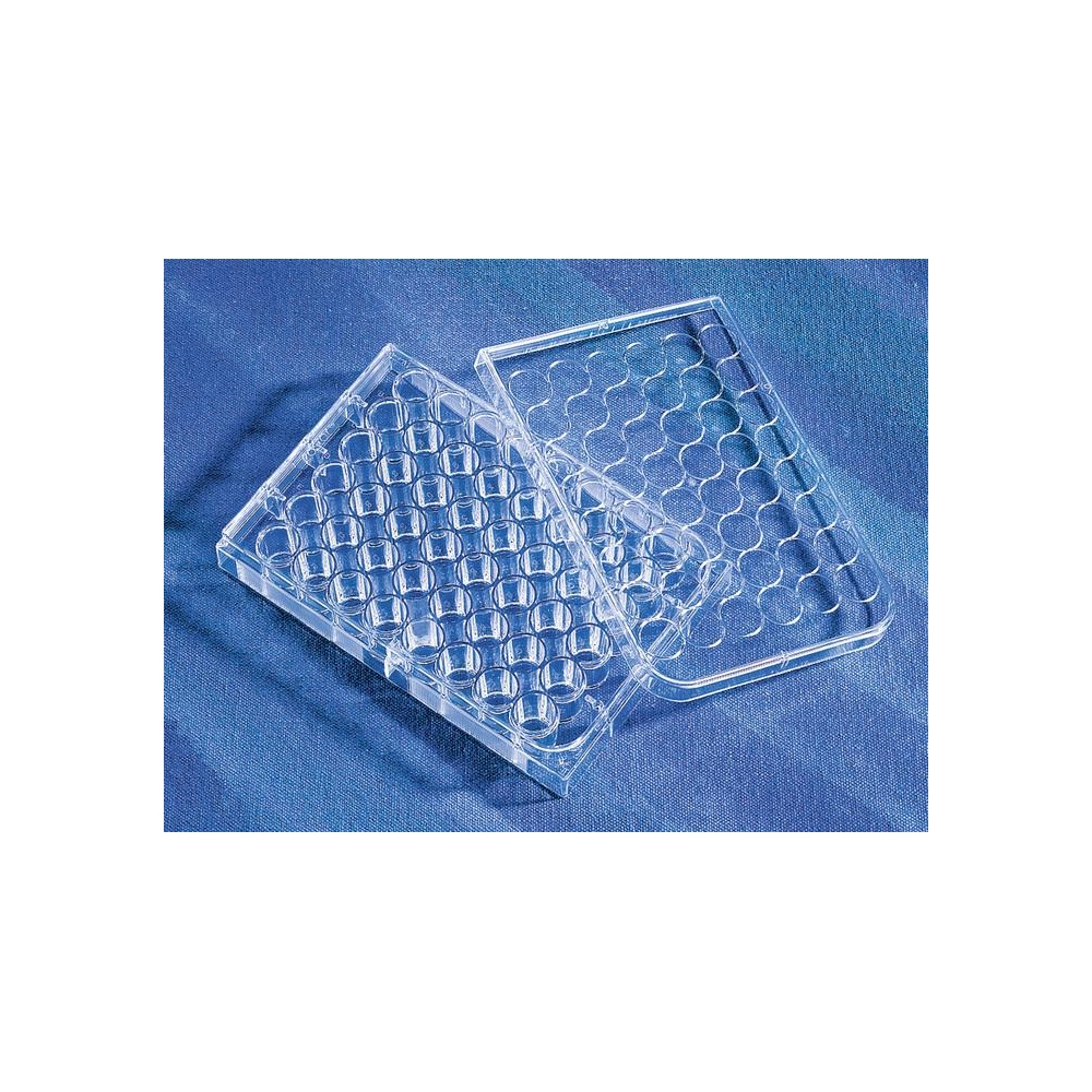 Costar 48 Well Clear, Tissue Culture-Treated Multiple Well Plates with Lid, Sterile, Individually Wrapped, 100/Case