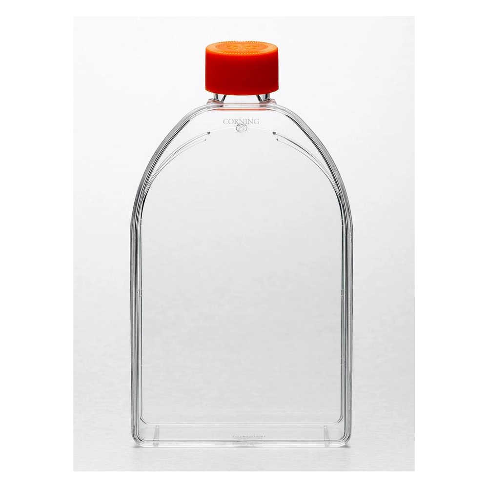 Corning 150cm Canted Neck Not Treated Cell Culture Flask with Vent Cap