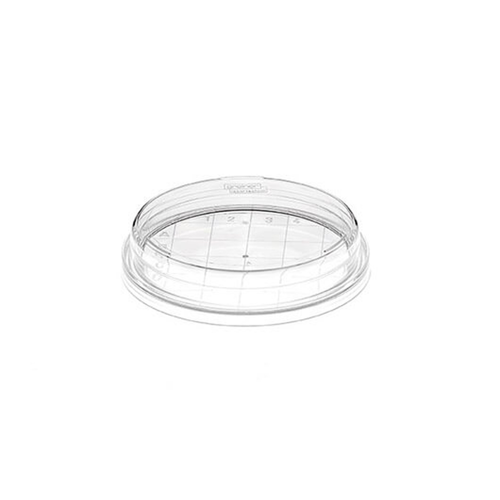 CONTACT DISH W/O VENTS 65,0/15 MM, STERI