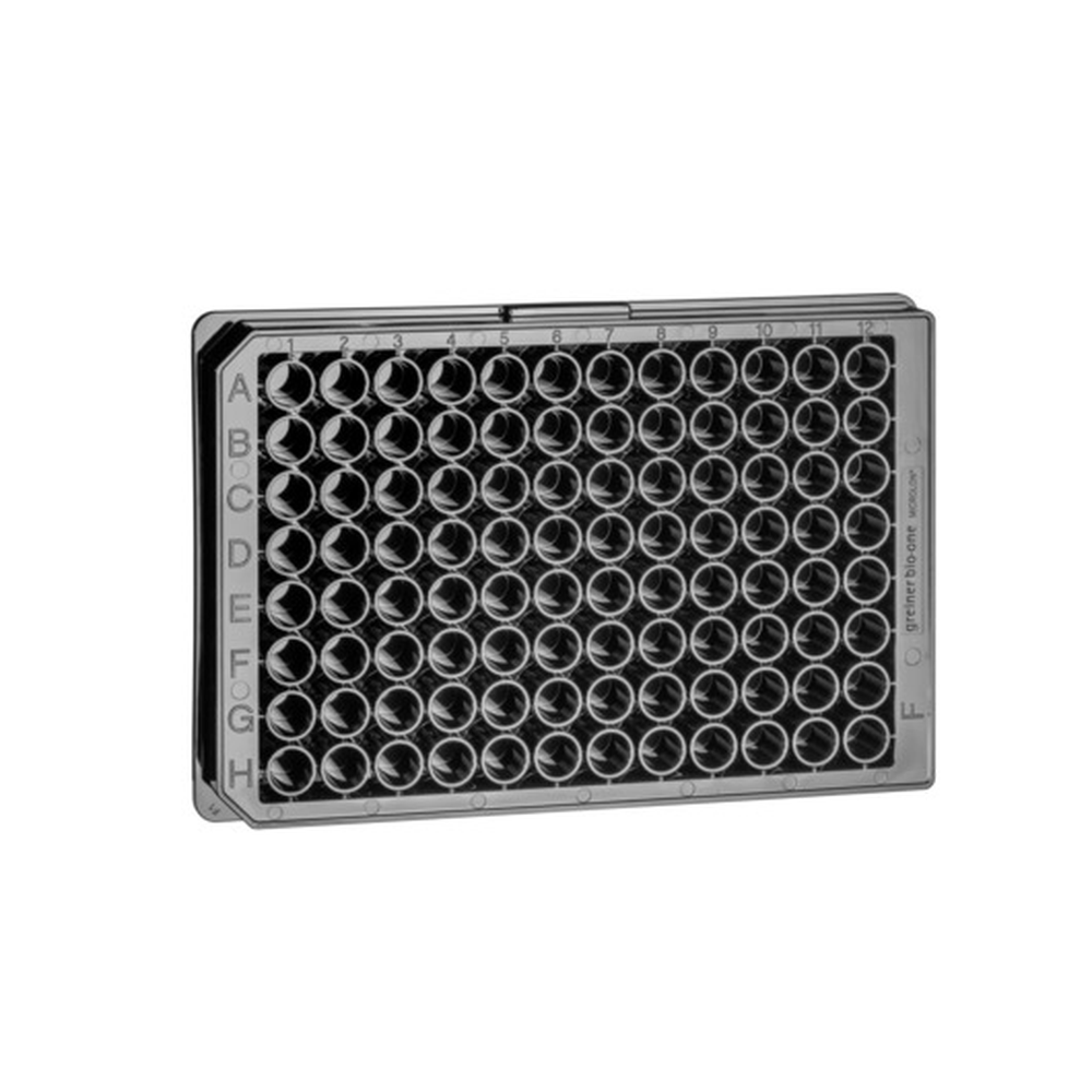 FIA-PLATE, BLACK, TC,STER FLAT-BOTT. 10