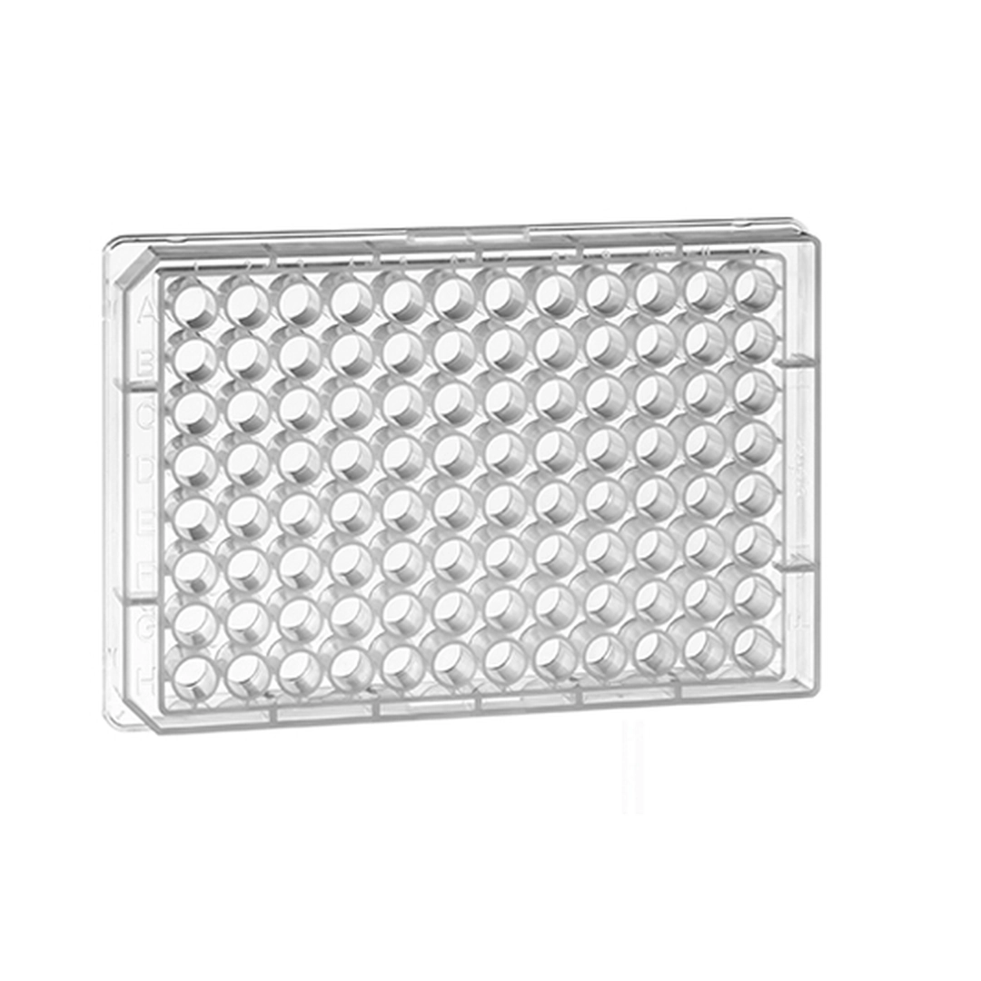 PP-MICROPLATE, 96 WELL FLAT BOTTOM,1