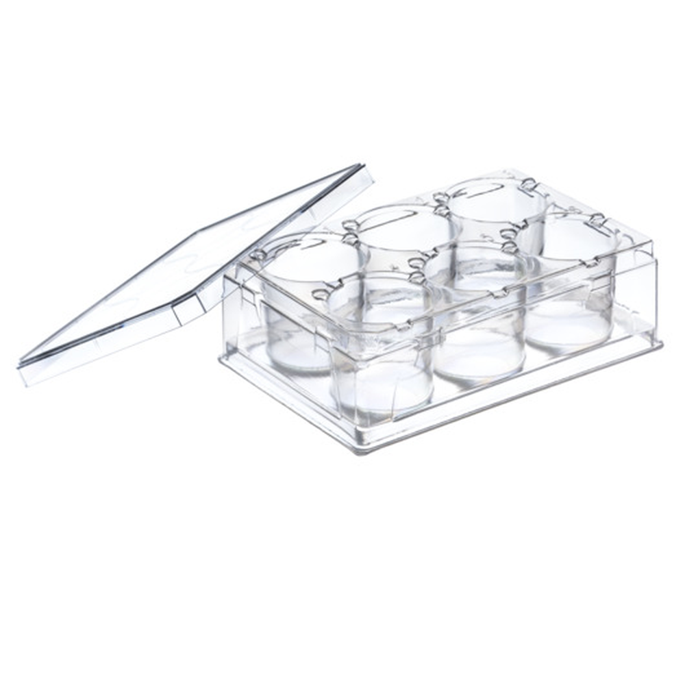 PS-THINCERT PLATE 6 WELL, STERILE