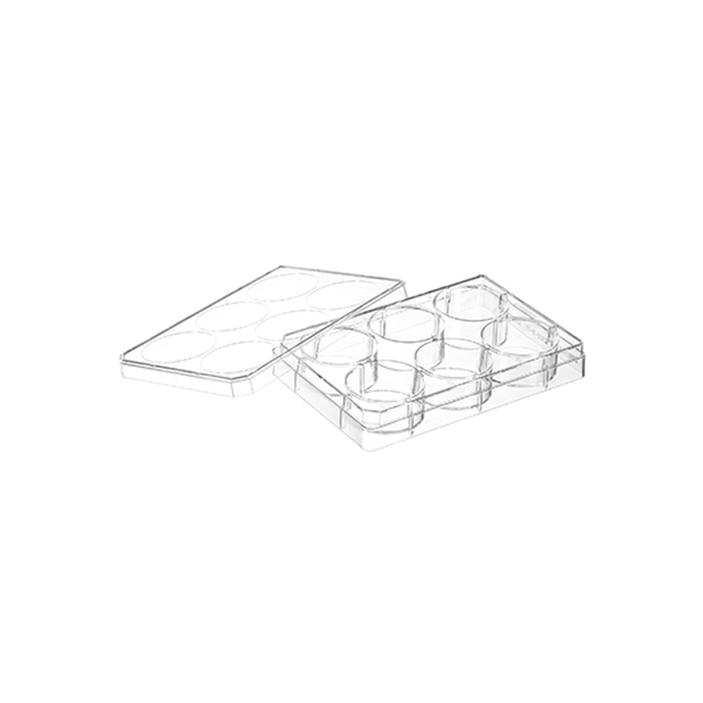 TC-PLATE 6 WELL, STERILE WITH LID, SINGL