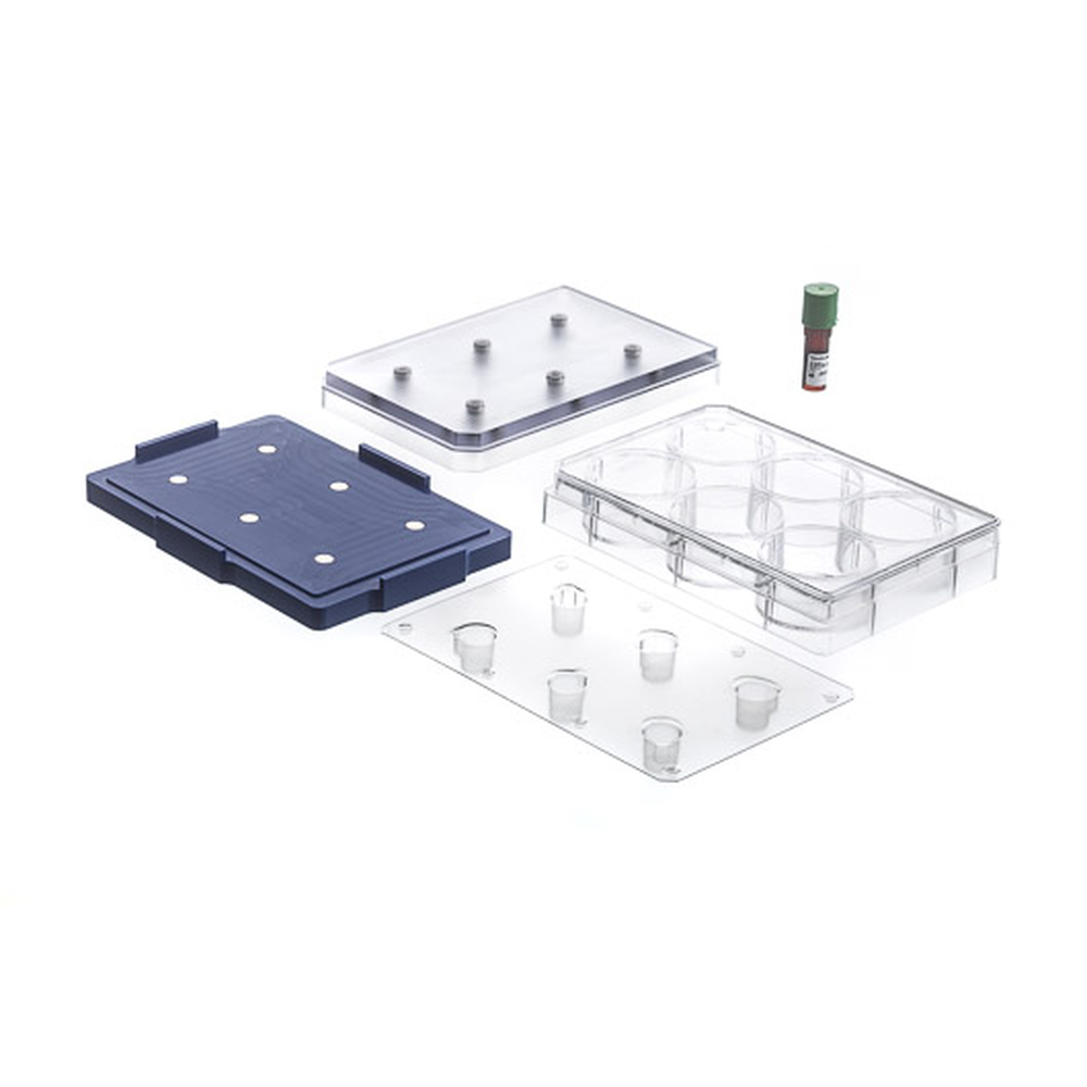 6-WELL BIO-ASSEMBLER KIT