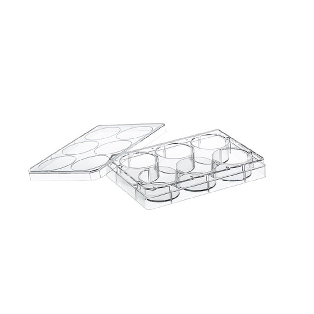 TC-PLATE, 6 WELL POLY-L-LYSINE, CELLCOAT