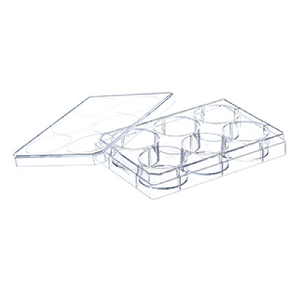 6 WELL PLATE ADVANCED TC STERILE, W. LID