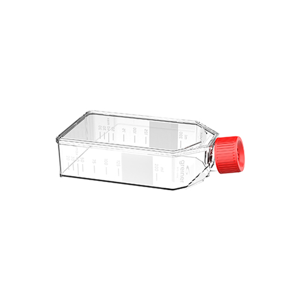 TISSUE CULTURE FLASK 250 ML,TRIPLE PACK