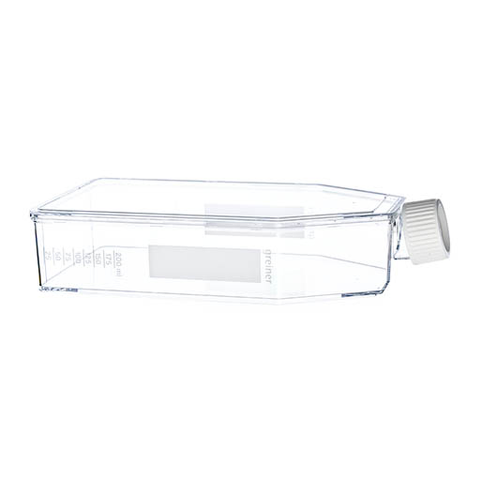 SUSPENSIONCULTURE FLASK 182 CM², WITH FI