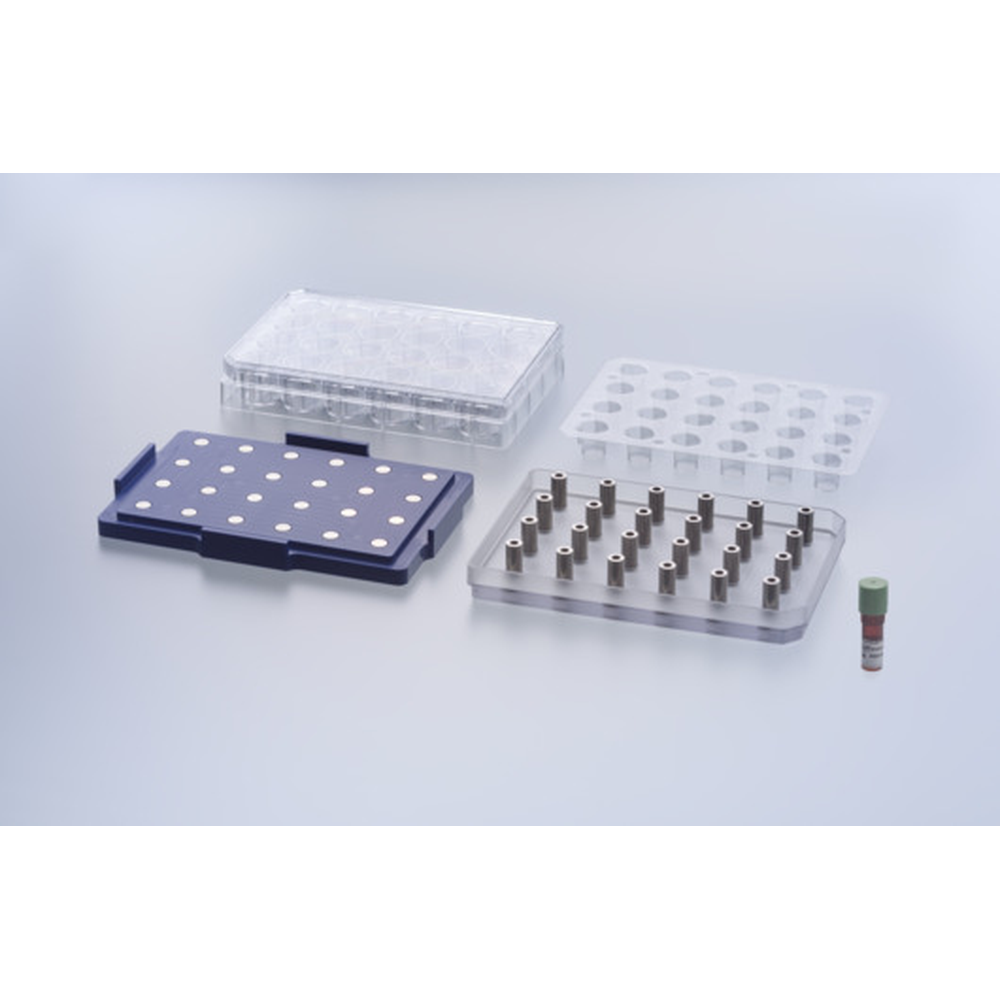 24-WELL BIO-ASSEMBLER KIT