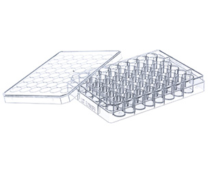 CELLDISC, 1 LAYER, 250 CM², PS, TRANSP.