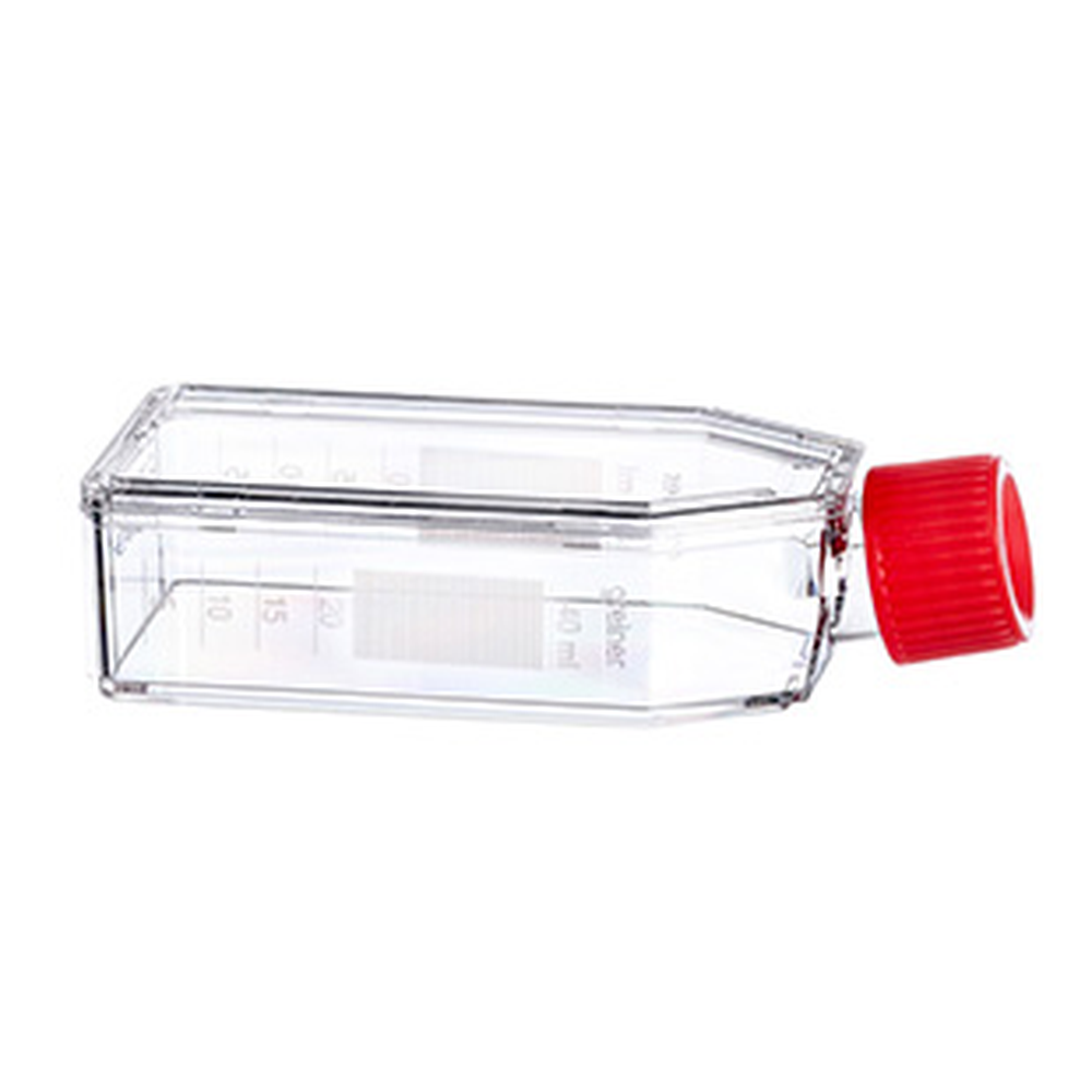 TC-FLASK, 50 ML, 25 CM PDL, 10/PACK
