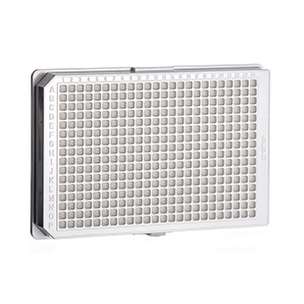 TC-PLATE, WHITE, 384 WELL POLY-D-LYSINE,