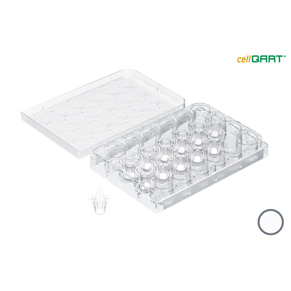 cellQART 24-Well Cell Culture Insert Half Pre-Loaded in Well Plate, PET, 0.4um, Translucent, 4 Well Plates/pk