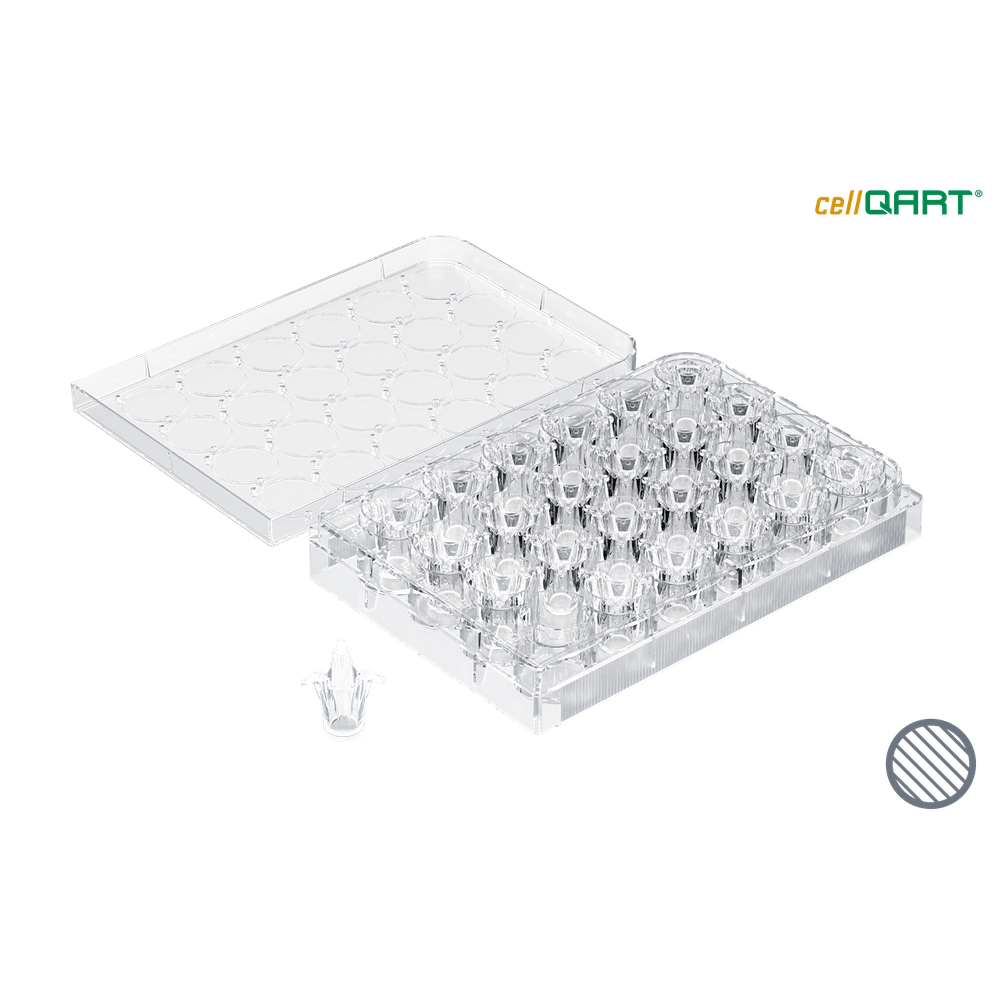 cellQART 24-Well Cell Culture Insert Pre-loaded in Well Plate, PET, 0.4um, Clear extended culture, 4 Well Plates/pk
