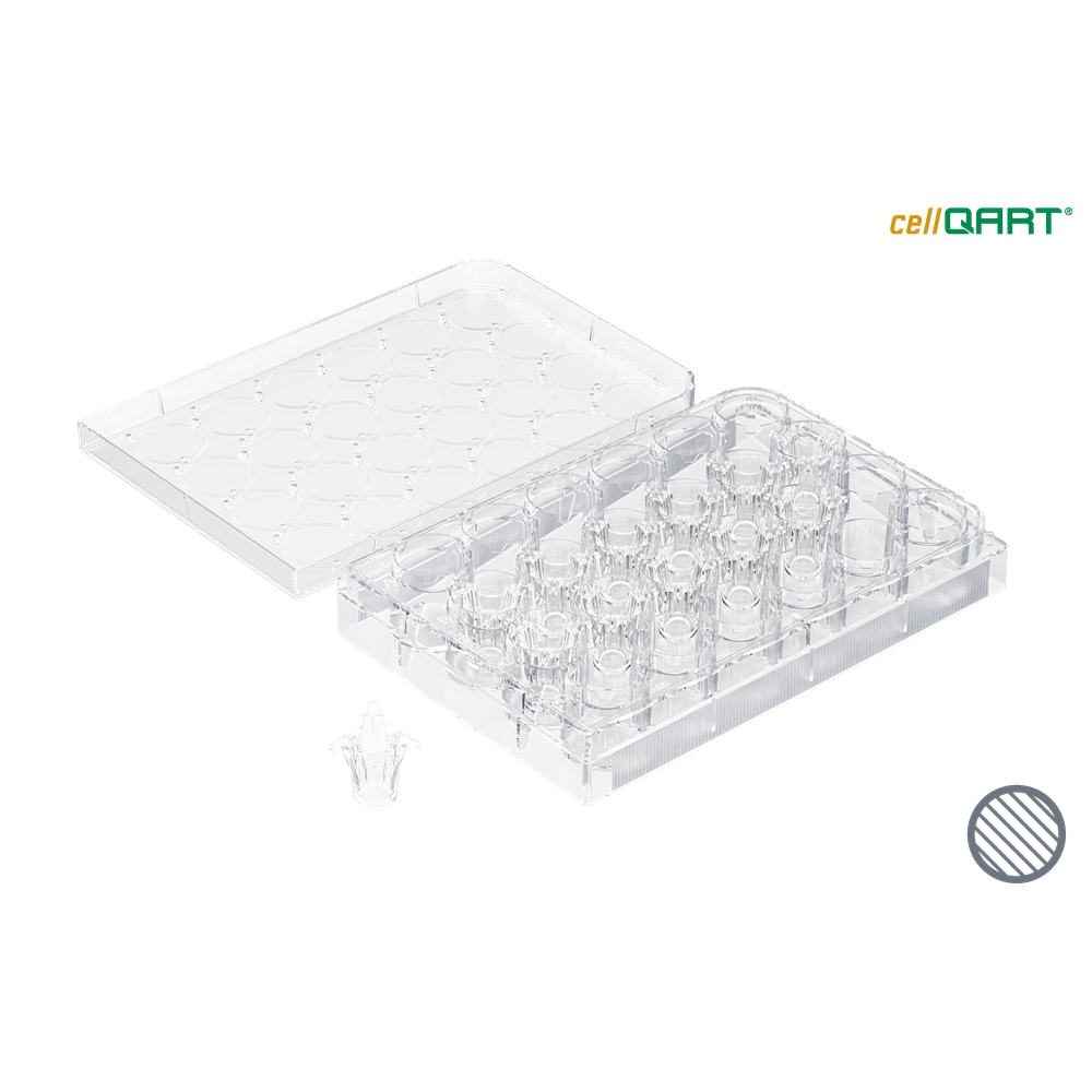 cellQART 24-Well Cell Culture Insert Half Pre-loaded in Well Plate, PET, 0.4um, Clear extended culture, 4 Well Plates/pk