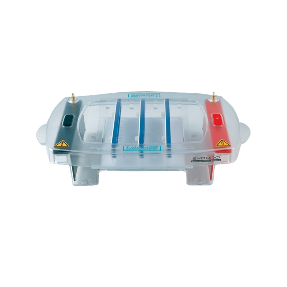 Labnet Enduro 10.10 Horizontal Gel Box 10 x 10 cm