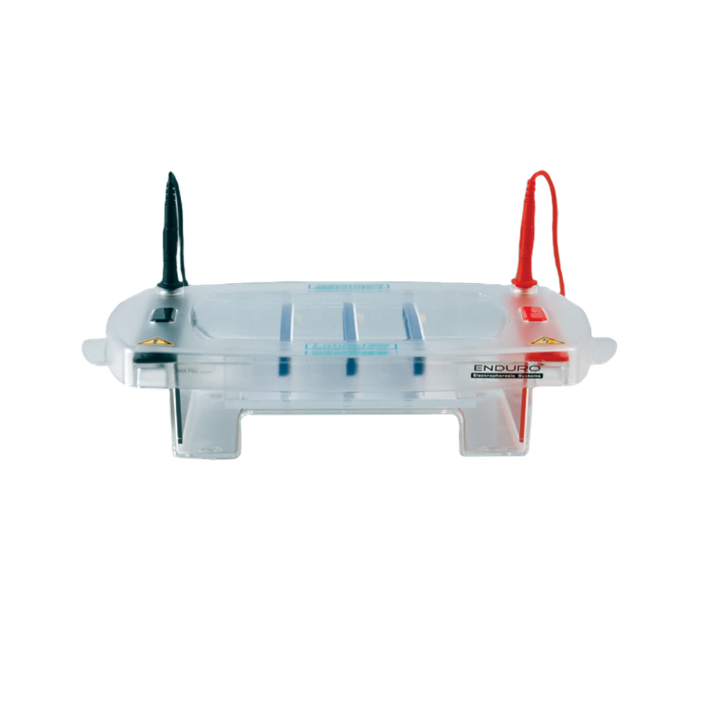 Labnet Enduro 15.10 Horizontal Gel Box 15 x 10 cm with 3 casting trays