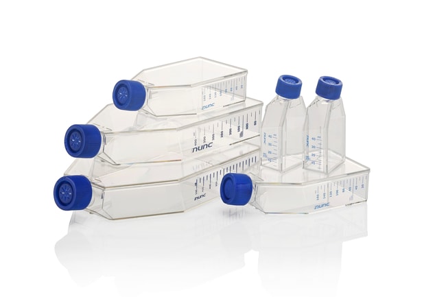 EasY Flask 75cm2 Collagen I Filter Cap