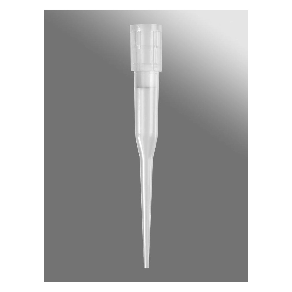 Axygen Automation Tips for Beckman Coulter 165L, Clear, Filtered, Sterile
